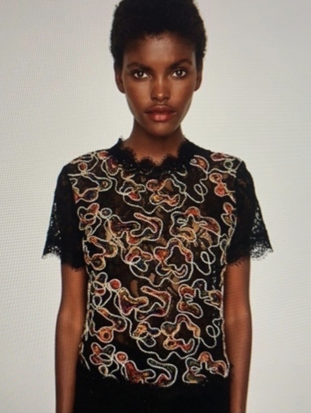 Zara Lace Blouse Featuring Multicolor Embroidery - Size Small - Picture 1 of 3